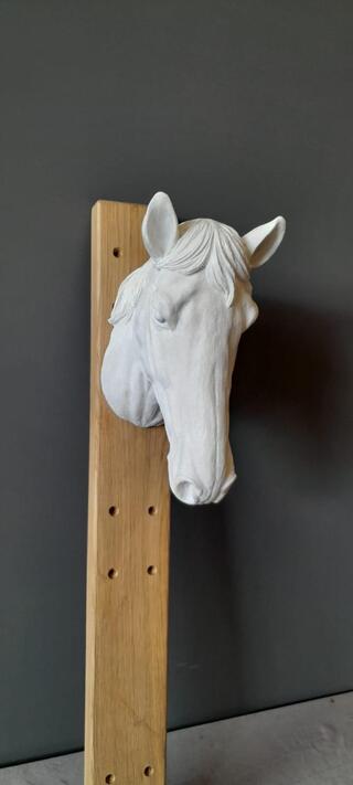 Paardenhoofd , wit